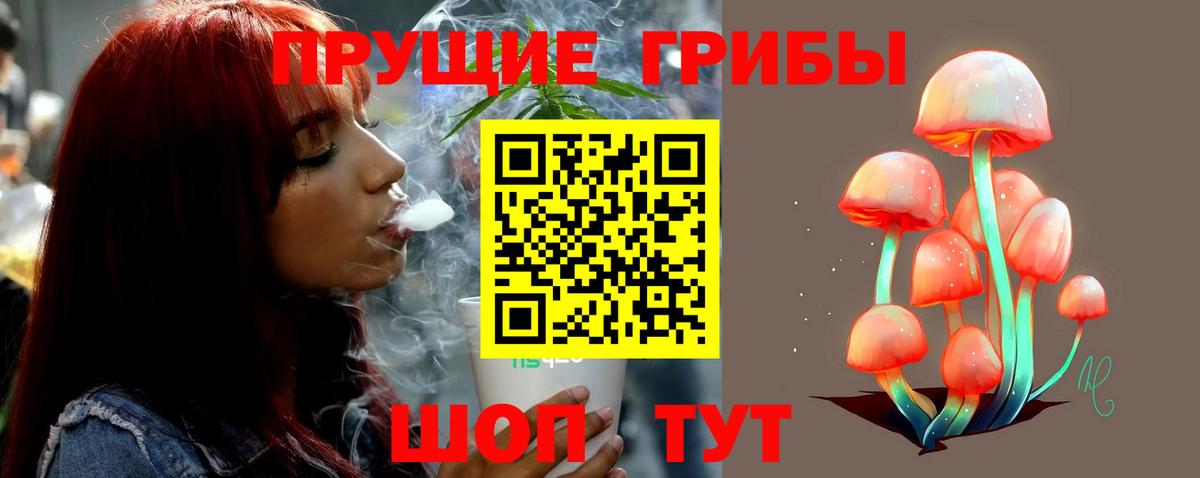 где купить наркотик  Галлюциногенные грибы Magic Shrooms  Вход с VPN  Киров 